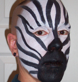 Zebra