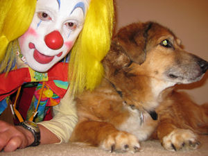 Sir Toony and his dog Buddy